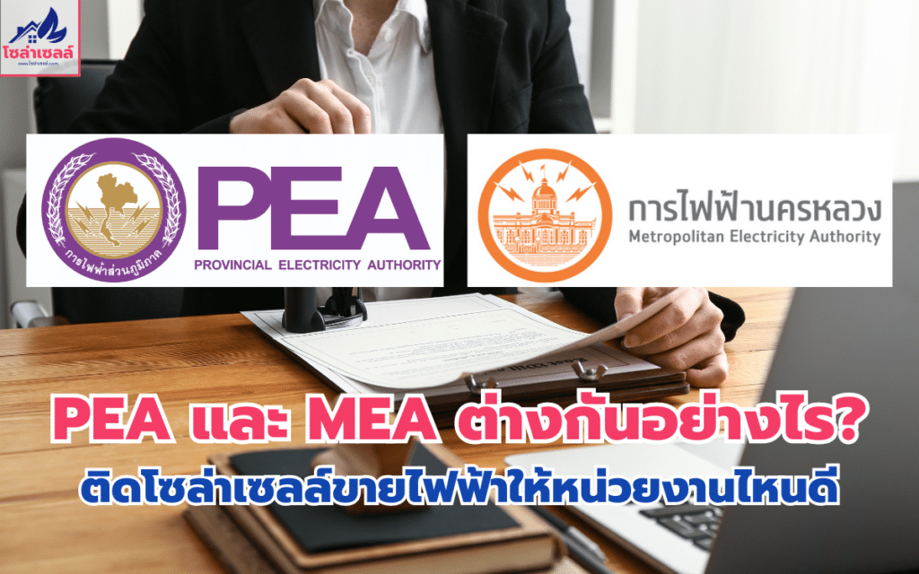 PEA และ MEA ต่างกันอย่างไร